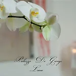 Palazzo De Giorgi לינה וארוחת בוקר 4*