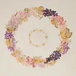 Palazzo De Giorgi לינה וארוחת בוקר לצ'ה